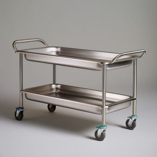 Edelstahl-Servierwagen 85 x 45 x 85 cm Silber mit 2 Ablagen und Rollen